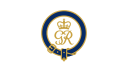 Life Guards Insignia