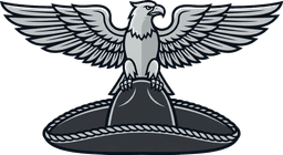 Mexican Rurales Insignia